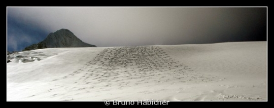 Portfolio - Bruno Habicher