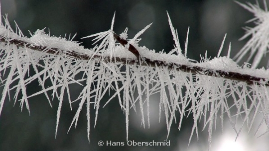 Portfolio - Hans Oberschmid