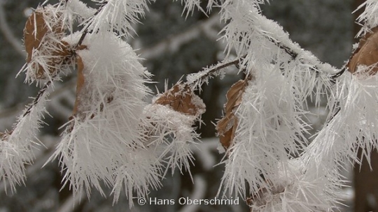 Portfolio - Hans Oberschmid