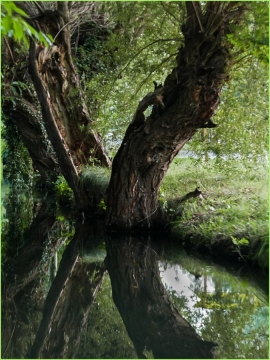 Portfolio - Helene Noger