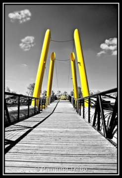 Portfolio - Raimund Trebo