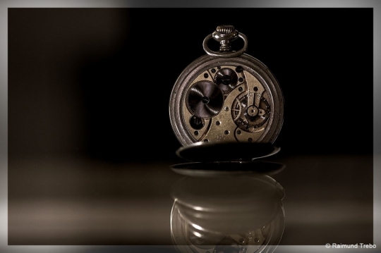 Portfolio - Raimund Trebo