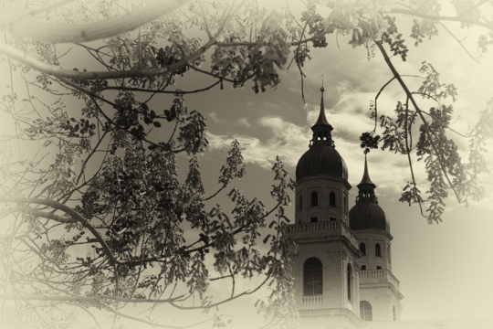 Portfolio - Raimund Trebo
