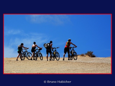 Portfolio - Bruno Habicher