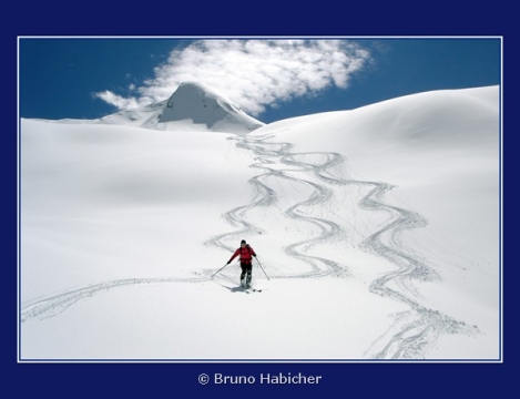 Portfolio - Bruno Habicher