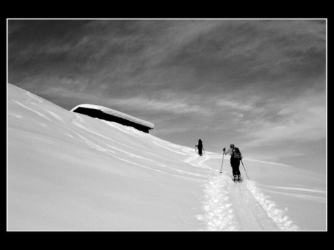 Portfolio - Bruno Habicher
