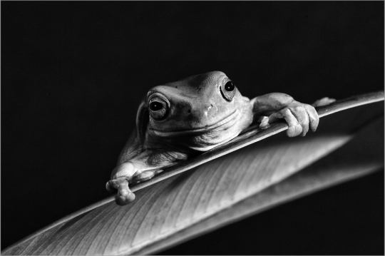 Portfolio - Helmut Jäger