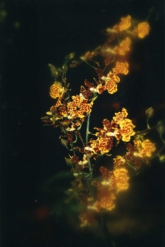 Portfolio - Hubert Sprenger