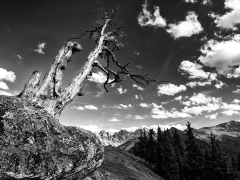Portfolio - Thomas Hupfauf