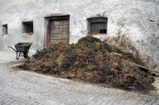 TW-2013 - Abfall-Impressionen