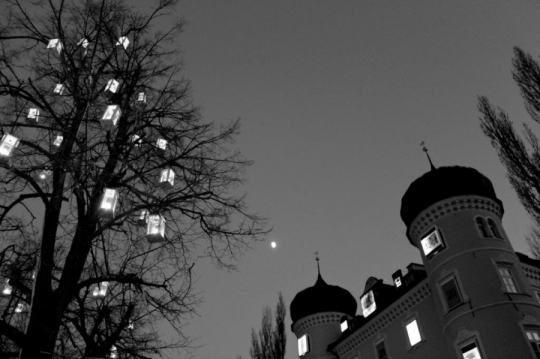 TW-2016 - Schwarz - Weiss