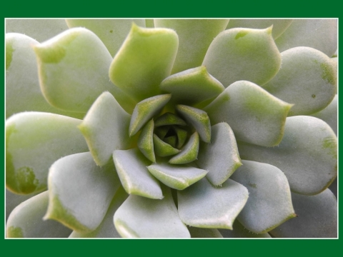 TW-2020 - Natur