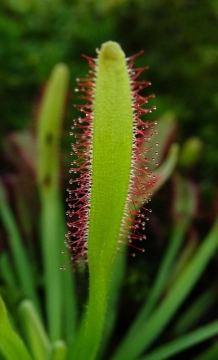 TW-2020 - Natur