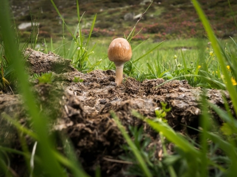 TW-2020 - Natur