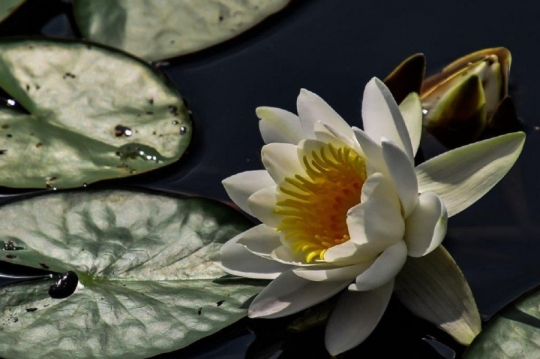 TW-2020 - Natur