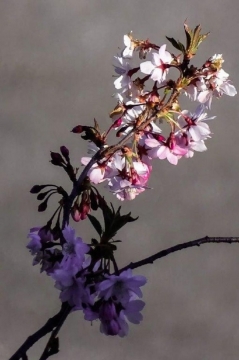 TW-2020 - Natur