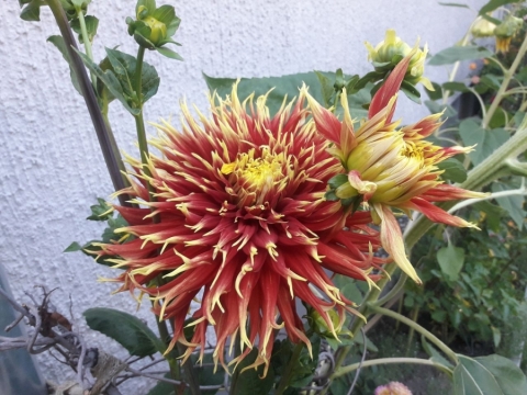 TW-2020 - Natur