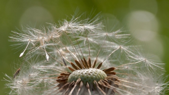 TW-2020 - Natur