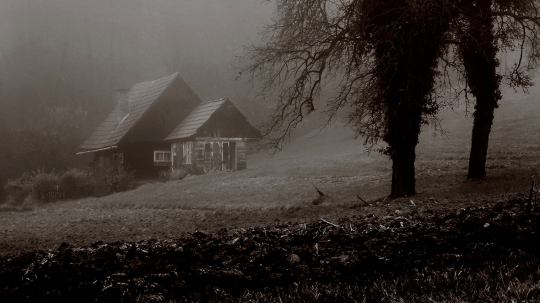 TW-2025 - Charly Grünerbl