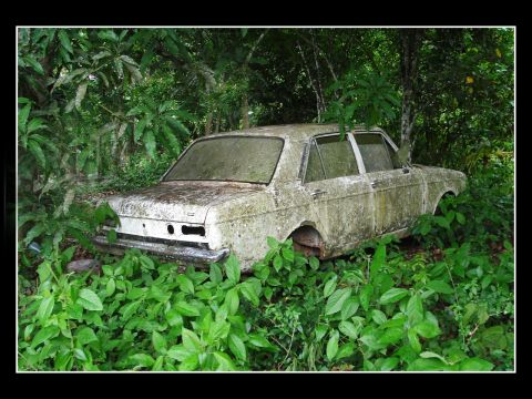 TW-2025 - Bruno Habicher