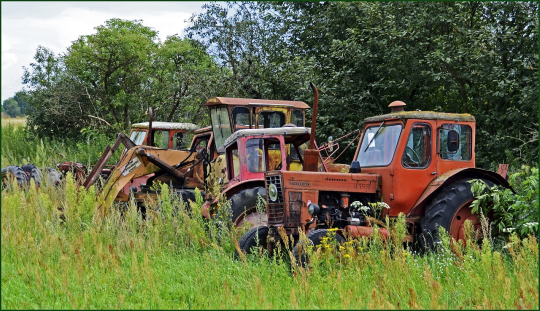 TW-2025 - Helli Jäger