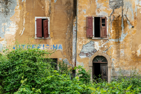 TW-2025 - Walter Zimmeter