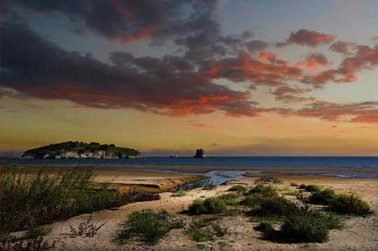 VM-2025 - Dietmar Carli