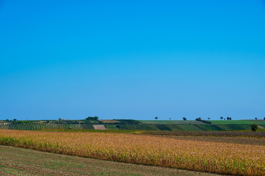 VM-2025 - Raimund Trebo