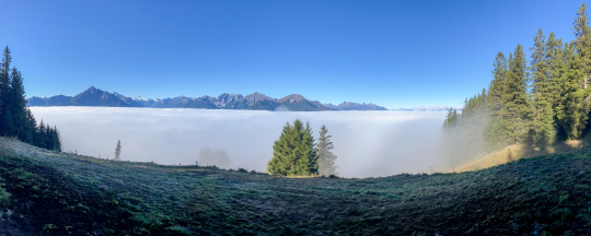 VM-2025 - Walter Zimmeter